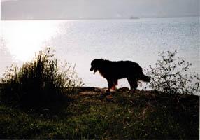 �y�����Ƃ��͂����߂���B�B�B