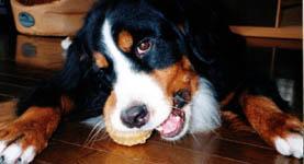 �{�[�����������!!