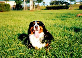 ����������Č��Ă�!!