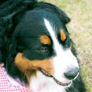 �Ő����������ł���!!