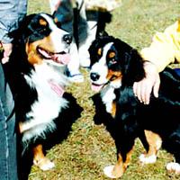 ����ɂ���B�͂��߂܂��āB