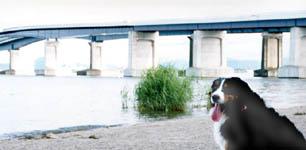 ���̂ӂ��ƂŁE�E�E�B