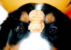 ���̂܂܁u�܂�!!�v