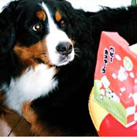 ���݂₰�A���肪��!!