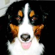 �J�����̓X�L!!