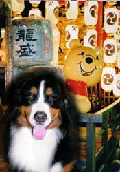 ���s�̑�C�x���g�ǂ����B