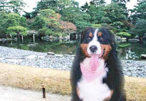 ������񌢂͂���ɓ���܂���B