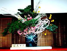 �傫�ȑ��ł��B