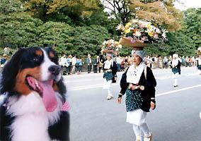 ��񂱂�������!!