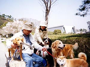 �L�O�B�e�E�E�E�B