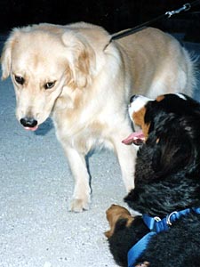 �u�˂��A���낤��!!�v