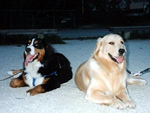 �u���^�N�̂ق����A���̎q�݂����B������B�v