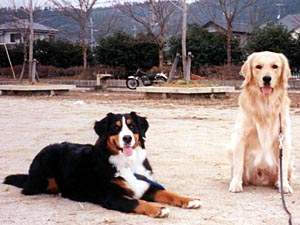 �u�������͂�����Ƌx�e�����B�v