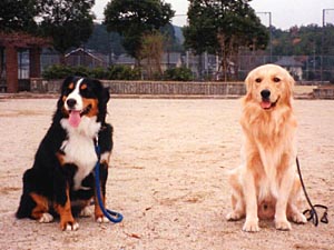 �u�Q�C�Ƃ����`���!!�v