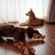 �����Q���ꏏ