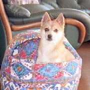 �����܂��T�������