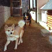 �Q�C�Œǂ���������