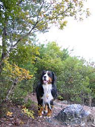 �΁[�Ɂ[�A�R�̎Ζʂ����ӁI