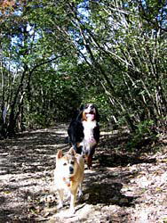 �T�������@��