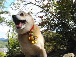 �T���������I