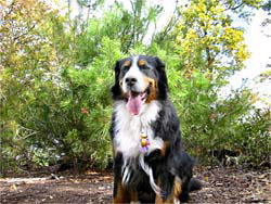 �����Ƃ��n���񂪂����I