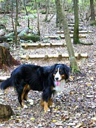 ���̍�A������Ƃ���ǂ����I