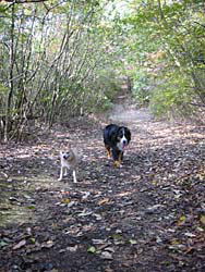 ��񂱂ɂ͉��K�Ȃ��U����