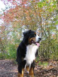 ���������Œ��ゾ�ˁB