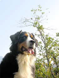 ����͑S����5���炢����܂���B