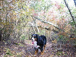 �R���͂Ƃ���������ˁB