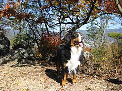 ������͎q���B�̏΂����I