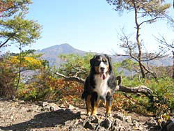 ����͖��邢�`�I