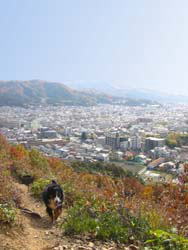 ���s�s�̒n�}���Ђ�����Ԃ��������E�E�E�B