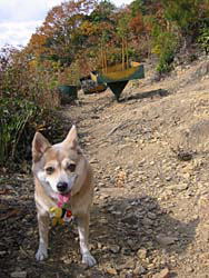 �T�����g�y�ɁI